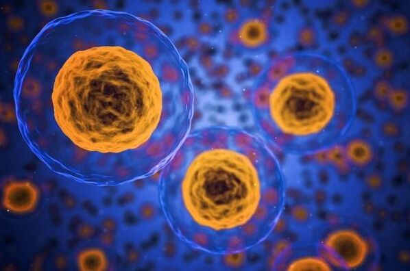 Kā notiek svara zaudēšanas process